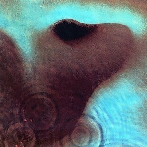 pink floyd meddle