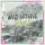 Wild Nothing_Cover_7Inch-1