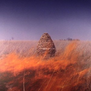 maccabees given to the wild
