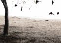The Tallest Man On Earth - There's No Leaving Now