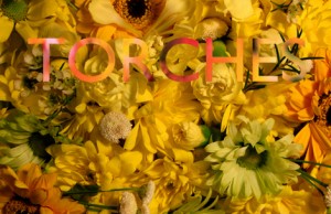 Torches