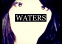 white birds waters