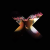 The xx - Coexist