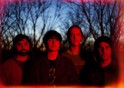 Animal Collective