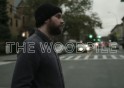 frightened rabbit woodpile