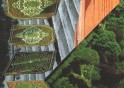 The Perennials EP