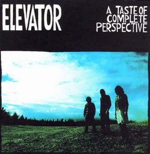 Elevator - A Taste of Complete Perspective