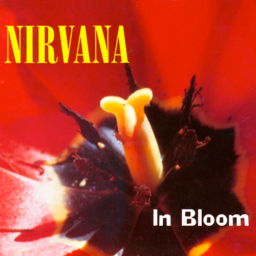 Nirvana - In Bloom